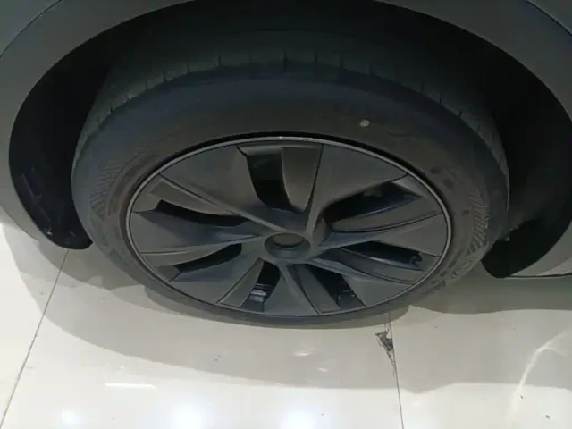 Tesla Model Y — Фото автомобиля 22