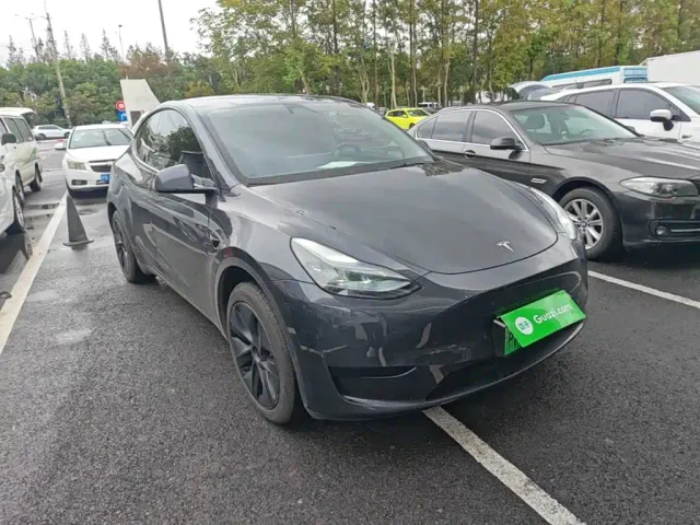 Tesla Model Y — Фото автомобиля 3