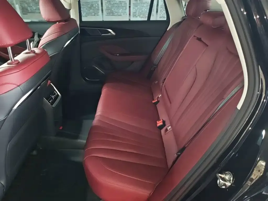 Hongqi Hongqi H5 2025 1.5T DCT Mystic Shadow 2 Million Edition — Фото автомобиля 16