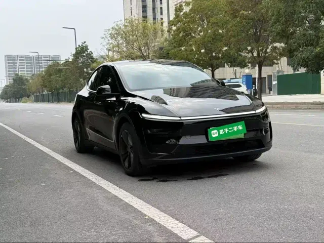 Tesla Model Y — Фото автомобиля 3