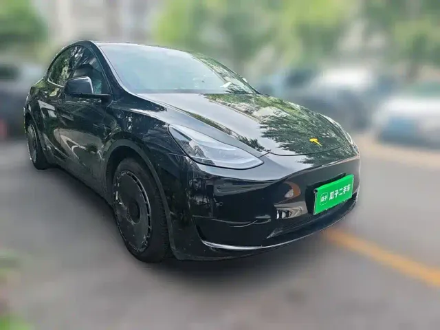 Tesla Model Y — Фото автомобиля 23