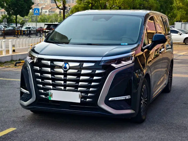 Фотография автомобиля — Denza D9