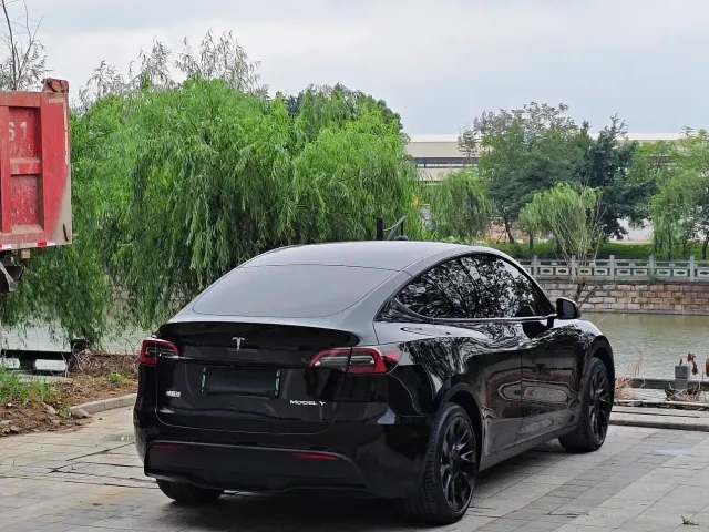 Tesla Model Y — Фото автомобиля 3