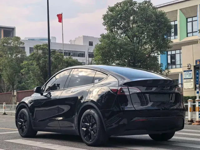 Tesla Model Y — Фото автомобиля 16