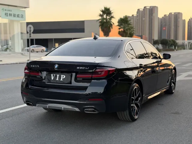 BMW 5 Series — Фото автомобиля 6