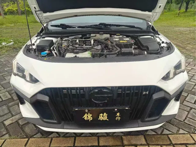 GAC Trumpchi Emkoo — Фото автомобиля 16