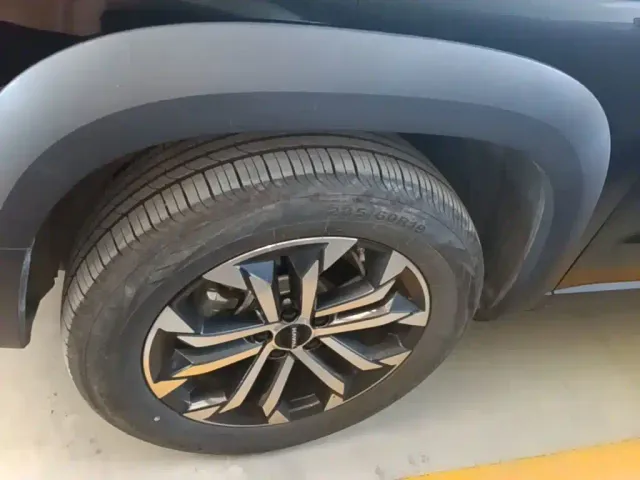 Haval Big Dog — Фото автомобиля 25