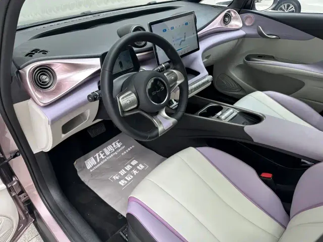 BYD Dolphin — Фото автомобиля 8
