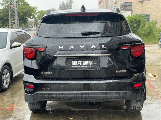 Haval Big Dog — Фото автомобиля 6