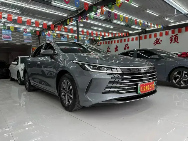 BYD Destroyer 05 — Фото автомобиля 2