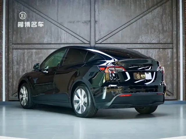 Tesla Model Y — Фото автомобиля 3