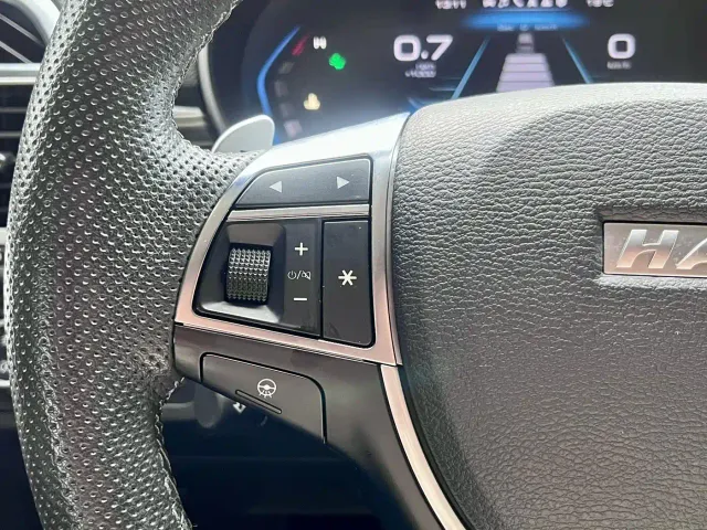 Haval H9 — Фото автомобиля 18