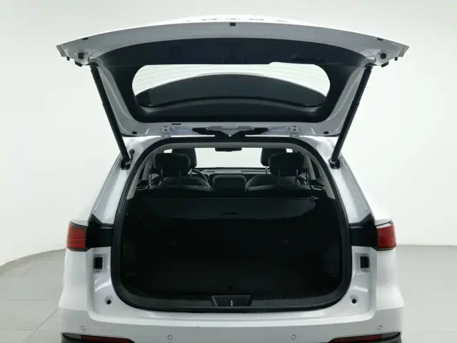 Haval Xiaolong MAX — Фото автомобиля 16
