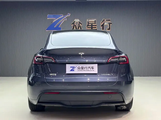 Tesla Model Y — Фото автомобиля 11
