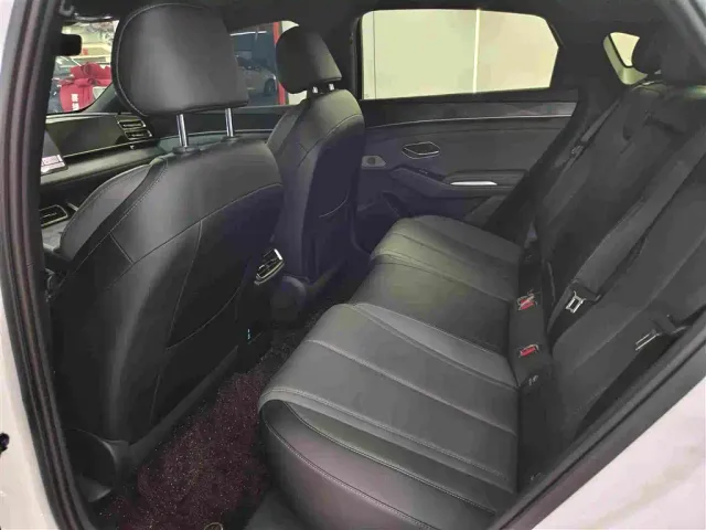 BYD Qin L — Фото автомобиля 5