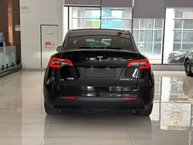 Tesla Model Y — Фото автомобиля 8