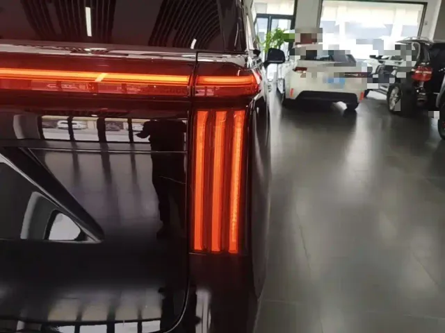 Wey Alpine — Фото автомобиля 7