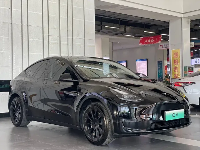 Tesla Model Y — Фото автомобиля 3
