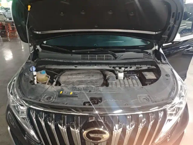 GAC Trumpchi M8 — Фото автомобиля 19