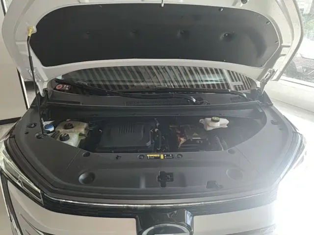 GAC Trumpchi E9 — Фото автомобиля 19
