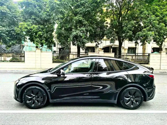 Tesla Model Y — Фото автомобиля 4
