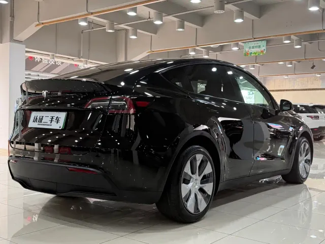Tesla Model Y — Фото автомобиля 8