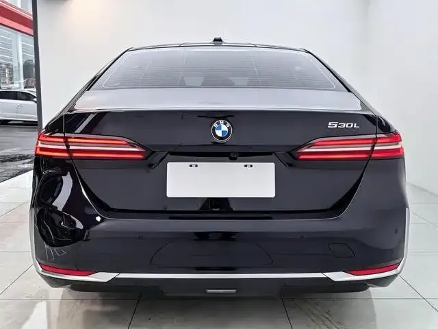 BMW 5 Series — Фото автомобиля 4