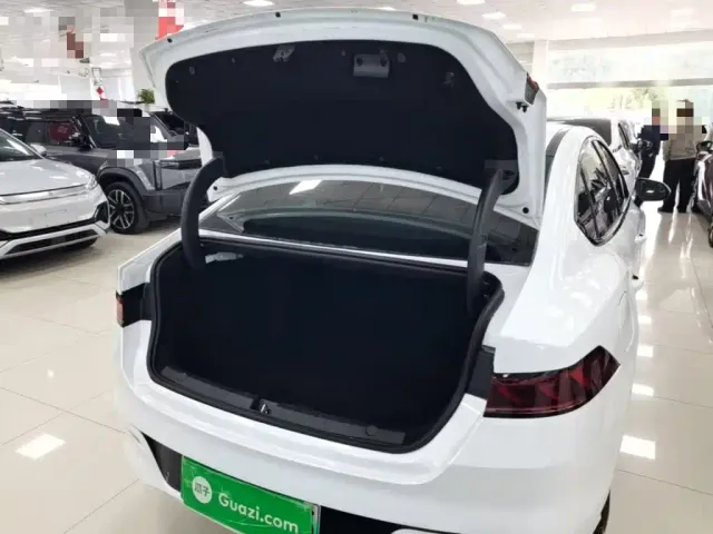 BYD Qin PLUS — Фото автомобиля 18