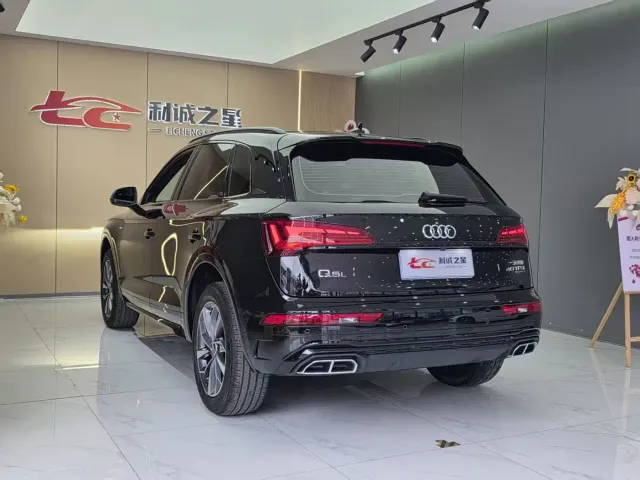 Audi Q5L — Фото автомобиля 8