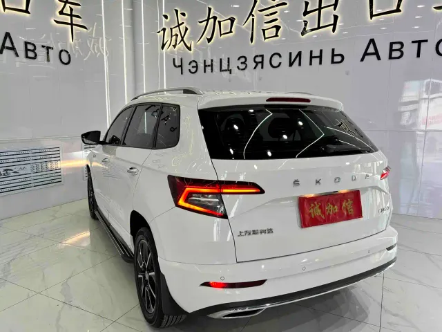 Skoda Karoq — Фото автомобиля 6