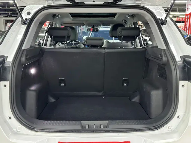 Chery Tiggo 7 PLUS — Фото автомобиля 15