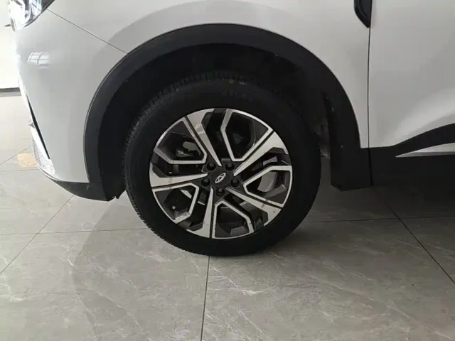 Chery Tiggo 7 PLUS — Фото автомобиля 22