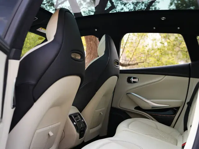 Aston Martin DBX — Фото автомобиля 11