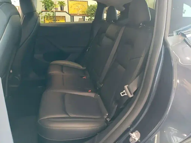 Tesla Model Y — Фото автомобиля 16
