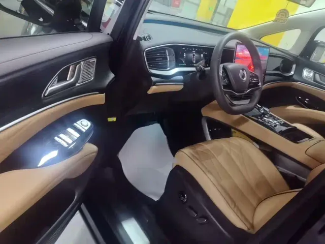 Denza D9 — Фото автомобиля 15