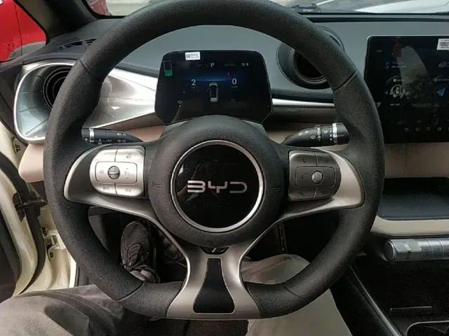 BYD Dolphin — Фото автомобиля 10