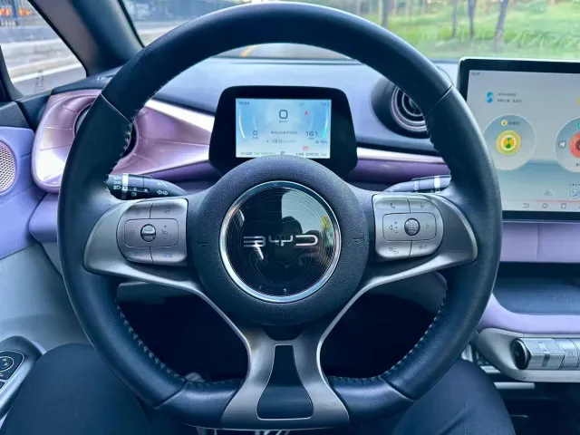 BYD Dolphin — Фото автомобиля 12