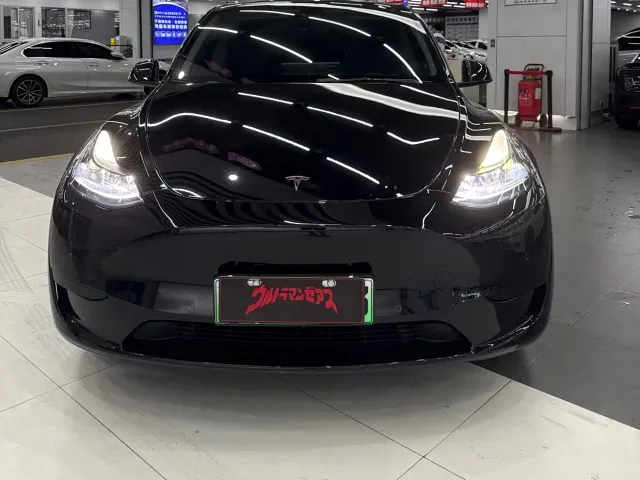 Tesla Model Y — Фото автомобиля 2