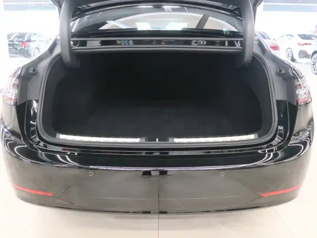 Stelato S9 — Фото автомобиля 30