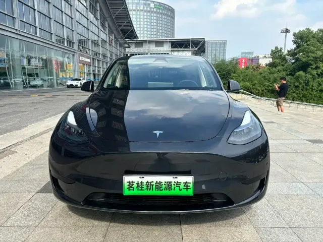 Tesla Model Y — Фото автомобиля 2