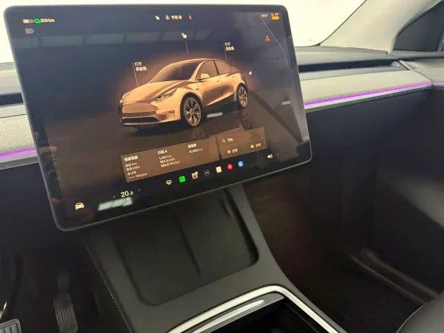 Tesla Model Y — Фото автомобиля 9
