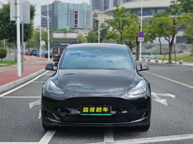 Tesla Model Y — Фото автомобиля 2