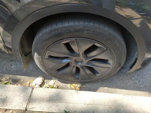 Tesla Model Y — Фото автомобиля 6