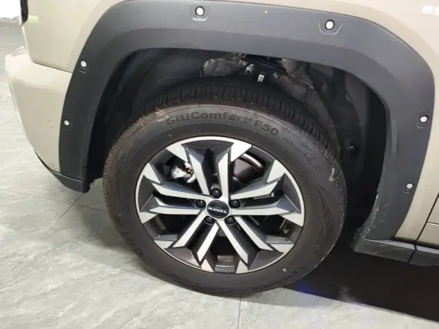 Haval Big Dog — Фото автомобиля 22