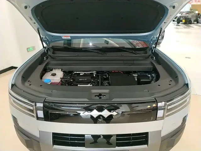 BYD FangChengBao Titanium 7 — Фото автомобиля 19
