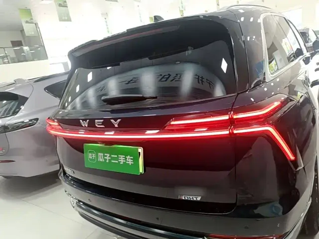 Wey Lanshan — Фото автомобиля 5