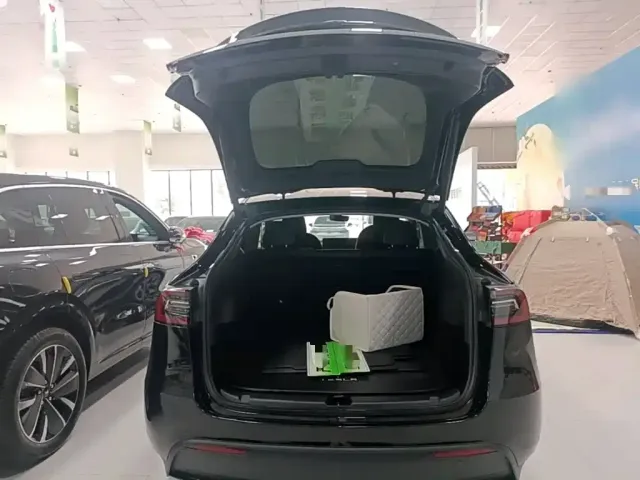Tesla Model Y — Фото автомобиля 18