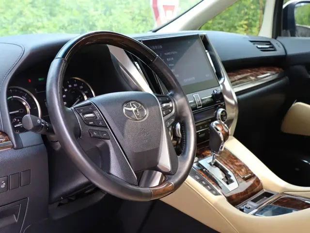 Toyota Alphard — Фото автомобиля 14