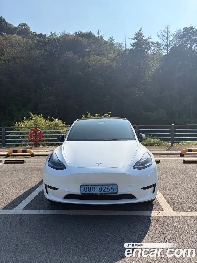 Tesla Model Y — Фото автомобиля 4