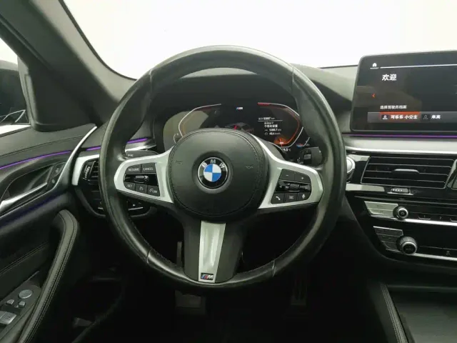 BMW 5 Series — Фото автомобиля 11